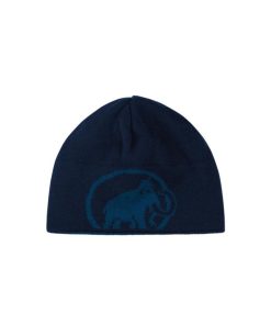 On mmtsklep Czapki Zimowe I Opaski | Czapka Mammut Logo Beanie Deep Ice-Marine