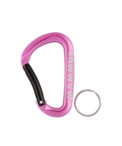 Sprzet mmtsklep Akcesoria | Karabinek Mammut Mini Carabiner Workhorse Keylock L Assorted