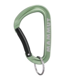 Sprzet mmtsklep Akcesoria | Karabinek Mammut Mini Carabiner Workhorse Keylock L Assorted