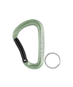 Sprzet mmtsklep Akcesoria | Karabinek Mammut Mini Carabiner Workhorse Keylock L Assorted