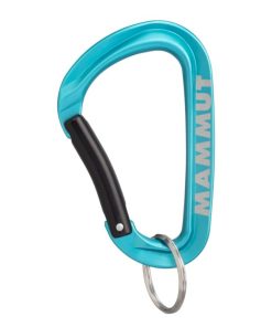 Sprzet mmtsklep Akcesoria | Karabinek Mammut Mini Carabiner Workhorse Keylock L Assorted