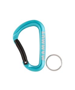 Sprzet mmtsklep Akcesoria | Karabinek Mammut Mini Carabiner Workhorse Keylock L Assorted